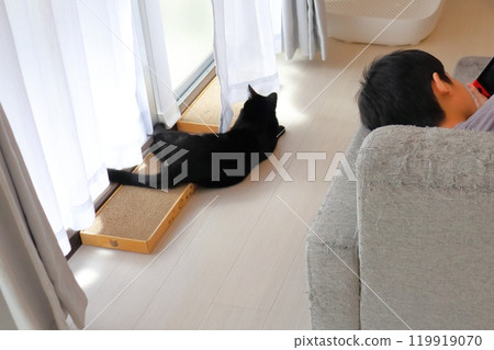 A cat playing with curtains A child playing a game A cat playing with curtains A child playing a game 119919070