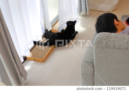 A cat playing with curtains A child playing a game A cat playing with curtains A child playing a game 119919071