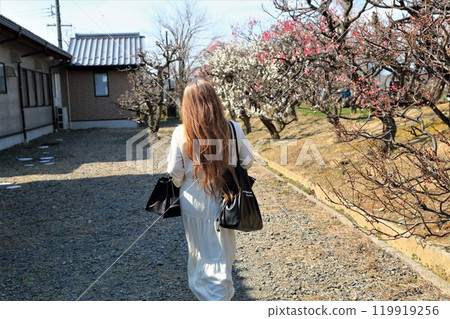 梅林漫步30（岐阜縣安八郡安八町安八梅園） 119919256