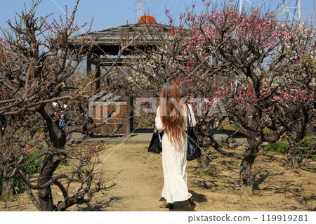 梅林漫步5（岐阜縣安八郡安八町：安八梅園） 119919281