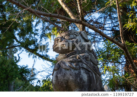 Guardian dog 119919727