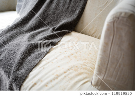 mould on sofa 119919830
