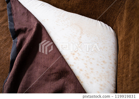 mould on sofa mould on sofa 119919831