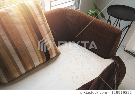 mould on sofa 119919832