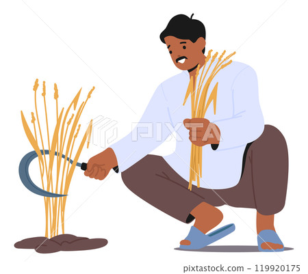 Indian Farmer Crouches To Harvest Crops By Hand Using A Sickle, Emphasizing Traditional Farming Practices Indian Farmer Crouches To Harvest Crops By Hand Using A Sickle, Emphasizing Traditional Farming Practices 119920175
