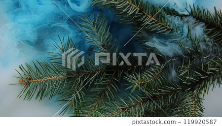 Fog pine branch. Smoke cloud. Green tree plant in blue color ink water splash mist floating wave spreading abstract background. 119920587