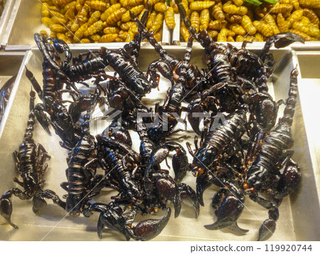 Tray of crispy fried scorpions or Maeng Pawng on display at a night market stall, representing the exotic culinary local delicacy of Thailand 119920744