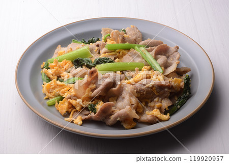 Stir-fried Chinese-style egg with pork and Japanese mustard spinach Stir-fried Chinese-style egg with pork and Japanese mustard spinach 119920957