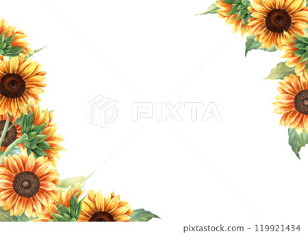 Watercolor rectangular frame, template with yellow sunflowers, vibrant plants. Hand drawn botanical illustration isolated on white background. For greeting card invitation clip art sticker 119921434