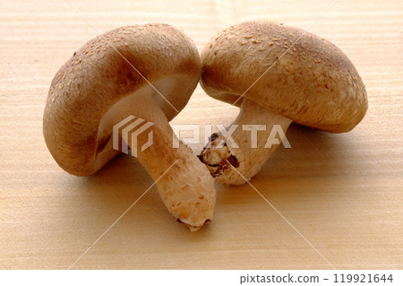 新鮮的香菇 119921644