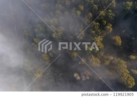 Aerial top down view of autumn misty forest canopy 119921905