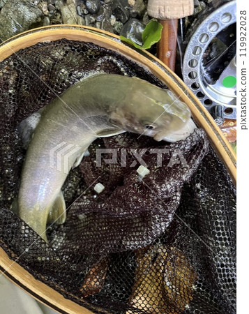 字元2024.9.11 字元2024.9.11 119922028