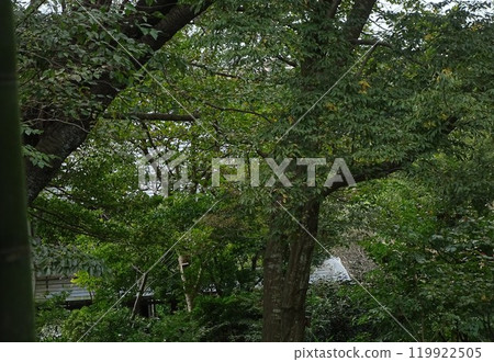 An old private house in green An old private house in green 119922505