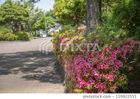 Tomioka Nishi Park, Tomioka Nishi, Kanazawa Ward, Yokohama City, Kanagawa Prefecture Tomioka Nishi Park, Tomioka Nishi, Kanazawa Ward, Yokohama City, Kanagawa Prefecture 119922551