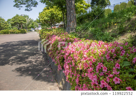 神奈川縣橫濱市金澤區富岡西富岡西公園 神奈川縣橫濱市金澤區富岡西富岡西公園 119922552