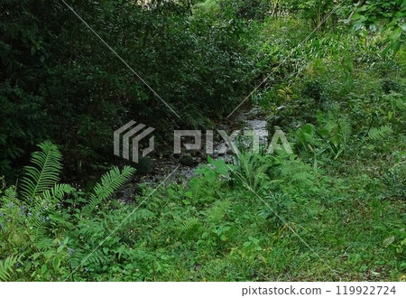 螢火蟲溪 119922724
