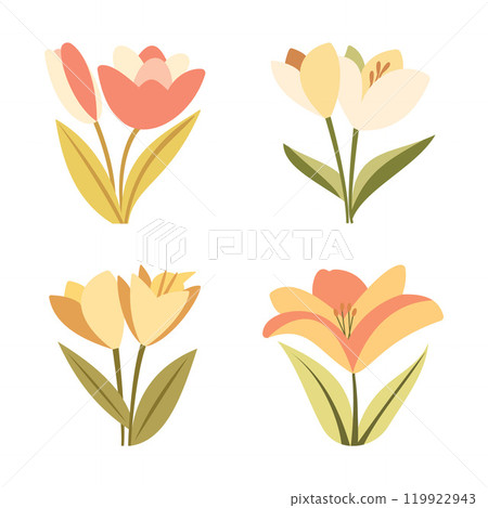 Collection of Beautiful Tulip Fresh Flower Floral Plant in the Park Collection of Beautiful Tulip Fresh Flower Floral Plant in the Park 119922943
