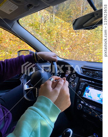 Couple Holding Hands in Car 119923658