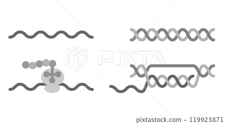 DNA, RNA, and tRNA 119923871