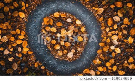 Spiral of Autumn Leaves on Gravel Path. Aerial View Highlighting Nature's Artistic Beauty 119924699