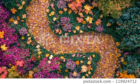 Vibrant Autumn Garden Pathway Surrounded by Colorful Foliage and Flowers Vibrant Autumn Garden Pathway Surrounded by Colorful Foliage and Flowers 119924712