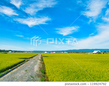 Landscape photo 119924792