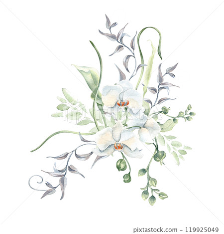 White orchids with soft green buds watercolor arrangement isolated. White flowers, rippled stems and vines hand drawn in soft colors. Delicate floral illustration painted in botanical sketch style. 119925049
