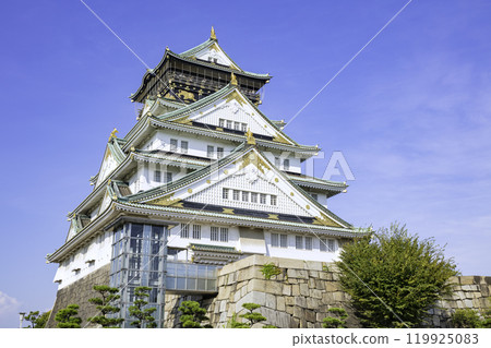 大阪城塔(大阪府大阪市) 大阪城塔(大阪府大阪市) 119925083