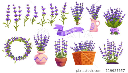 Lavender flowers in flowerpots, wreath and bouquets, vector Provence or French design. Cartoon lavender flowers in pink pots and wicker basket with ribbon banner for wedding or garden herb cosmetics 119925657