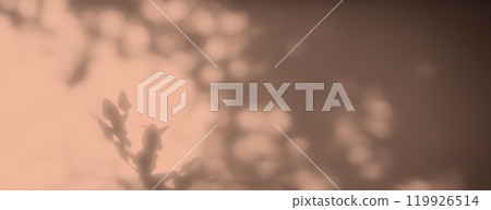 Beige Background Abstract Backdrop Shadow Cream Color Vintage Grunge Old Wall Floor blur Marble Stucco Pink Paint Mockup Product Cosmetic Beauty Gradient Pastel 3d Bg Scene Minimal Shadow Overlay. Beige Background Abstract Backdrop Shadow Cream Color Vintage Grunge Old Wall Floor blur Marble Stucco Pink Paint Mockup Product Cosmetic Beauty Gradient Pastel 3d Bg Scene Minimal Shadow Overlay. 119926514