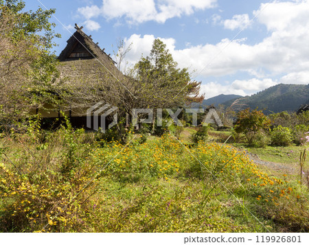 秋花盛開的美山茅吹之裡 秋花盛開的美山茅吹之裡 119926801