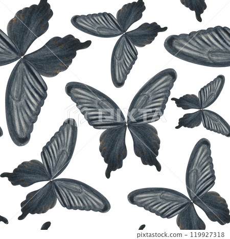 Black Swallowtail butterfly hand painted watercolor seamless pattern isolated on white. Perfect for scrapbooking, wrapping paper, scarfs, handbags, textile, stationary, cards design. Black and white Black Swallowtail butterfly hand painted watercolor seamless pattern isolated on white. Perfect for scrapbooking, wrapping paper, scarfs, handbags, textile, stationary, cards design. Black and white 119927318