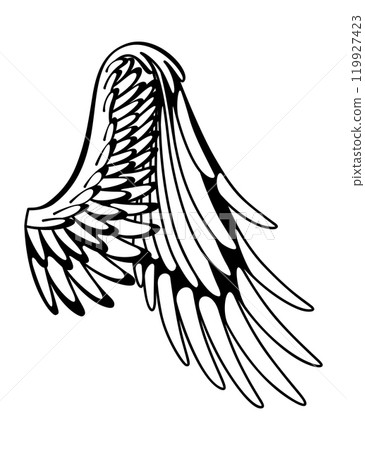 Wings sketch. Stylized birds wings. Hand drawn contoured stiker wing in open position. Vector design elements in coloring style 119927423