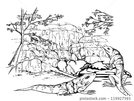 Waterfall on rock boulders with trees, flowing water stream, stone wall, iguana lizards. Hand drawn ink vector illustration, isolated scenic landscape. Design travel, vacation, brochure, nature tours Waterfall on rock boulders with trees, flowing water stream, stone wall, iguana lizards. Hand drawn ink vector illustration, isolated scenic landscape. Design travel, vacation, brochure, nature tours 119927565