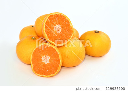 Mandarin oranges (Nishioka mandarin oranges) 119927600