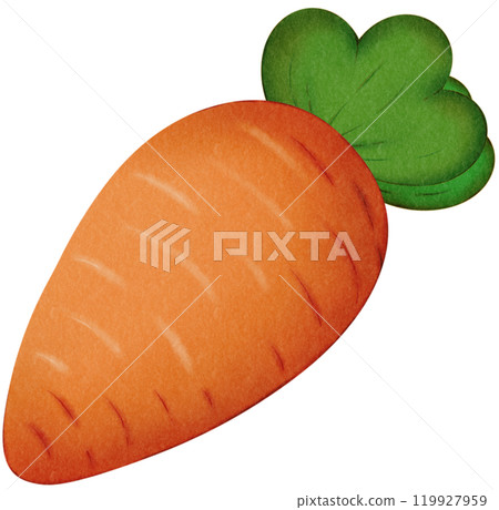 Carrots in Autumn 119927959