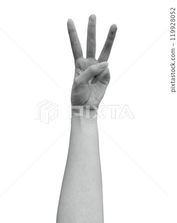 Woman's left hand holding up three fingers (monochrome) Woman's left hand holding up three fingers (monochrome) 119928052