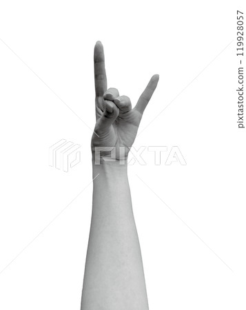 Woman's left hand depicting a fox 1 (monochrome) 119928057