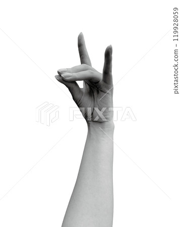 Woman's left hand depicting a fox 3 (monochrome) 119928059