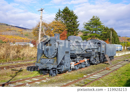 從庫頁島回程的D51（接觸鐵道紀念館） 119928213