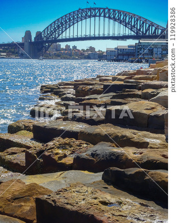 Sydney Harbour Bridge and Barangaroo Reserve Sydney Harbour Bridge and Barangaroo Reserve 119928386