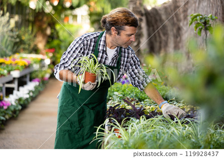 Man florist arranging flowers in pots at flower shop 119928437