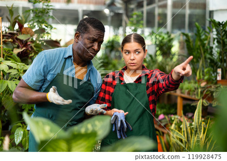 African american greenhouse owner and female worker talking African american greenhouse owner and female worker talking 119928475
