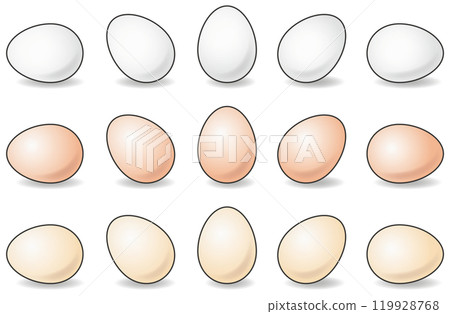 Vector illustration set of various eggs 119928768