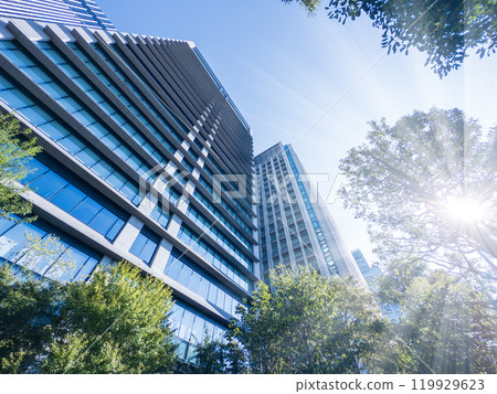 Tokyo's business district 119929623