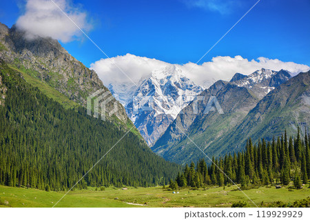 Idyllic summer landscape with hiking trail in the mountains with beautiful fresh green mountain pastures, top of mountains and clouds. Terskey Alatoo mountains, Tian-Shan, Jeti-Oguz, Kyrgyzstan 119929929