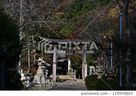 秋天的孝子神社 秋天的孝子神社 119930683