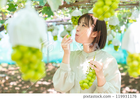 摘葡萄的女人 摘水果的女人 119931176