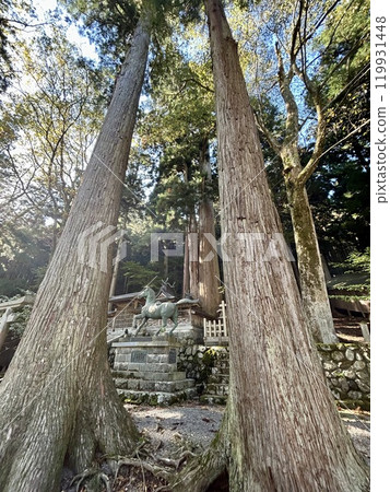 Dorogawa Hachiman Shrine in Nara Dorogawa Hachiman Shrine in Nara 119931448