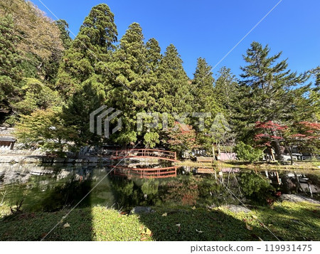 奈良縣龍泉寺 119931475